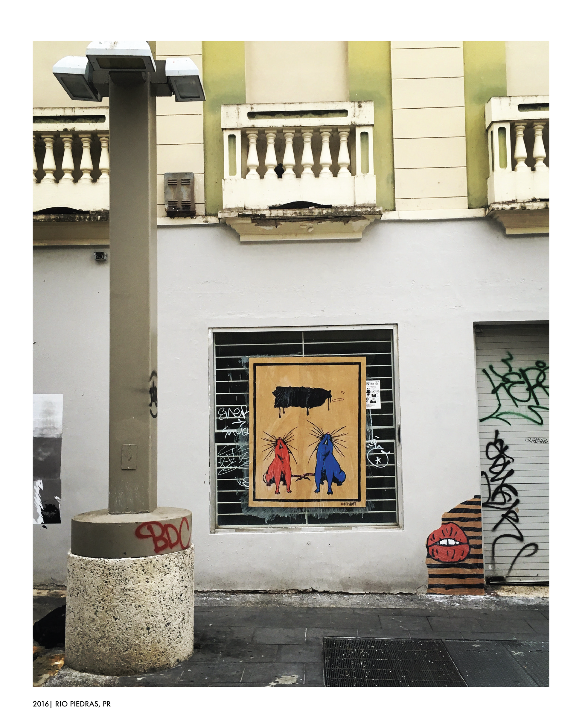 Ratas, 2019 image 0