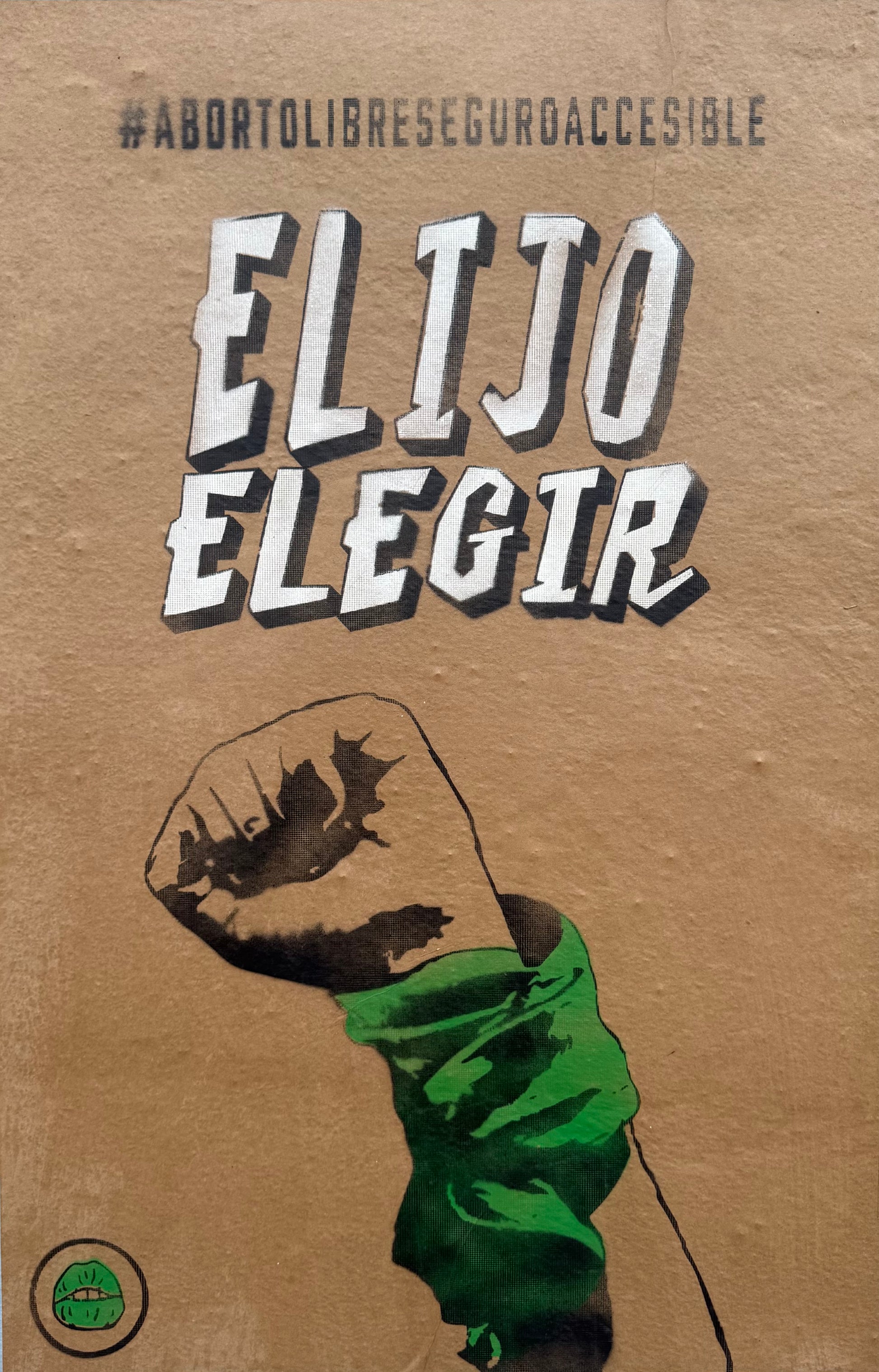 Elijo Elegir